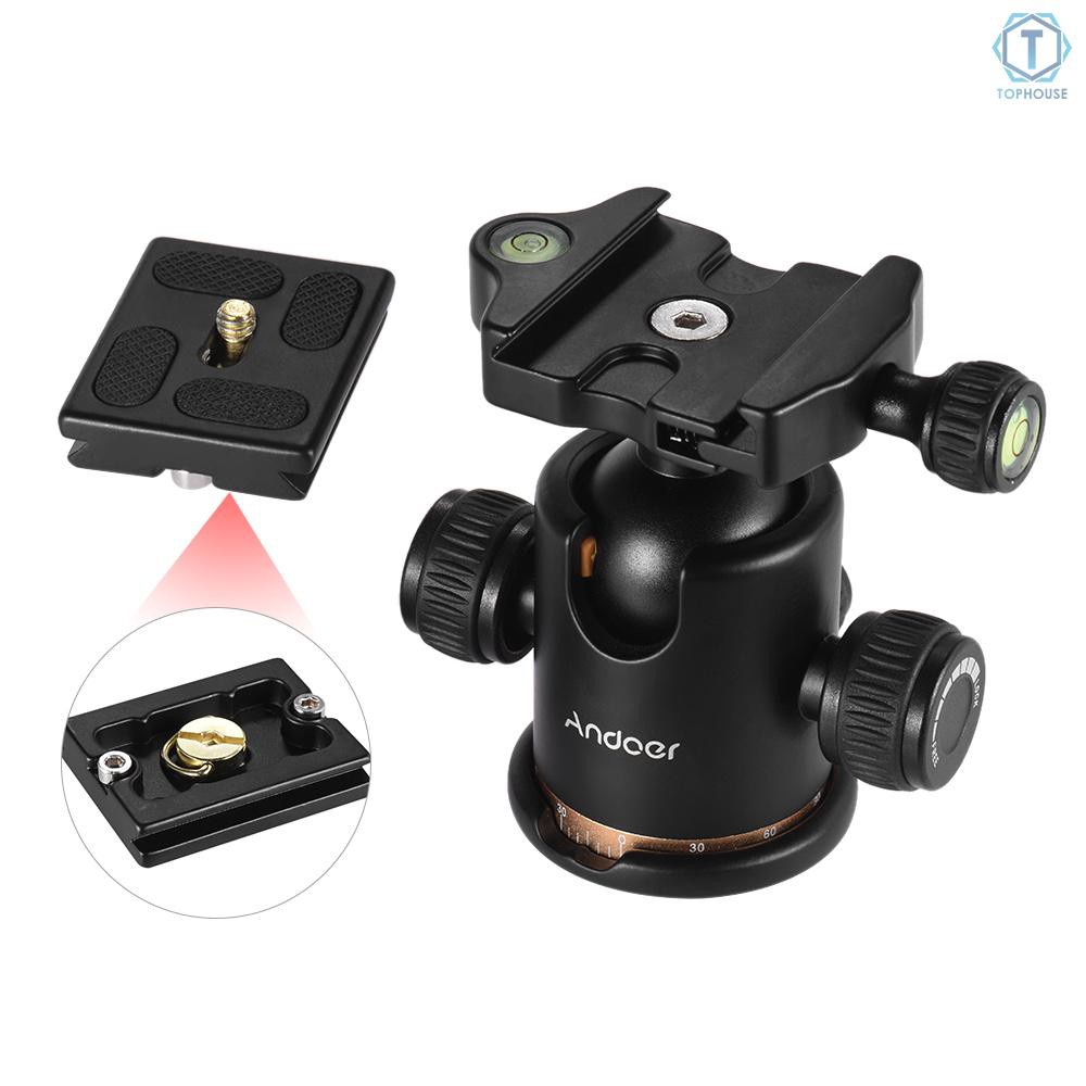 Đầu tròn gắn camera trên giá đỡ tripod có tấm tháo rời nhanh ốc 1/4 inch