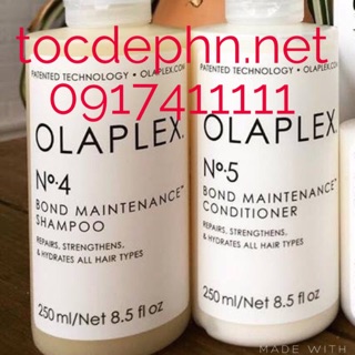 GỘI XẢ OLAPLEX số 4 và số 5 (250ml)