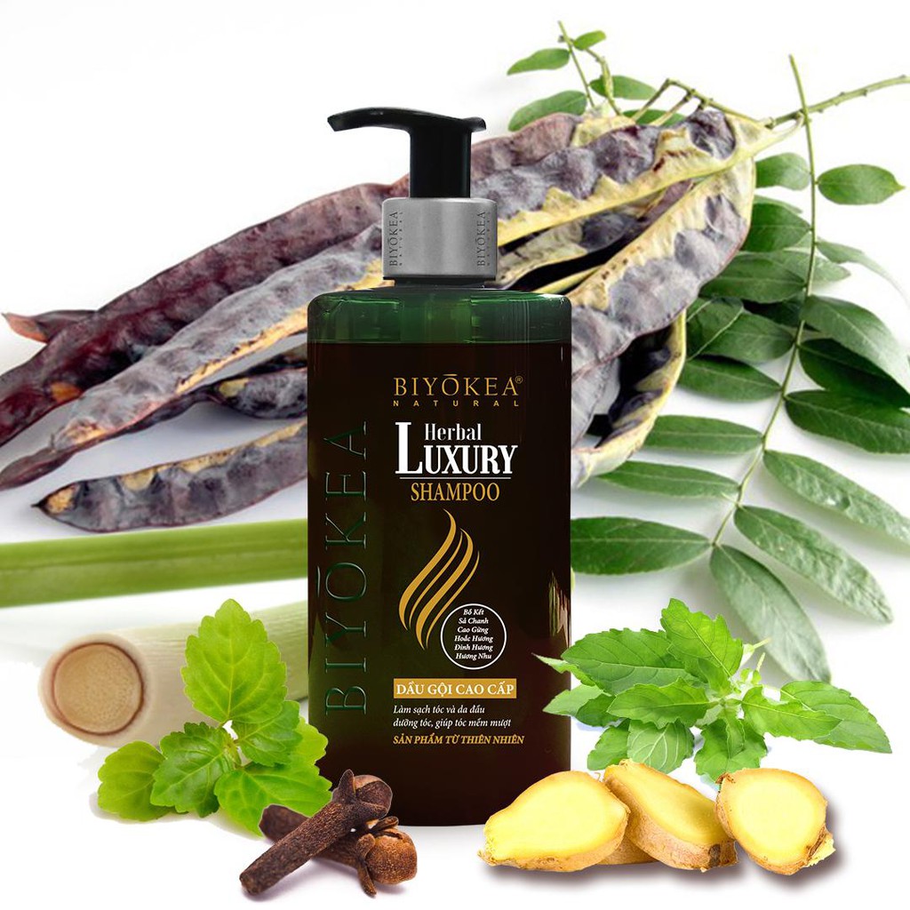 Dầu gội bồ kết, dầu gội thảo dược, dầu gội kích thích mọc tóc Herbal Luxury Biyokea 320ml