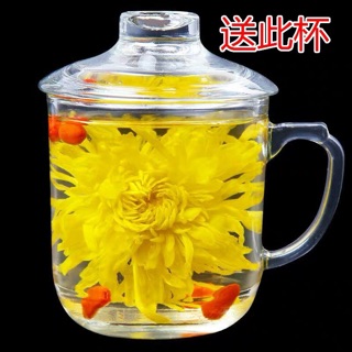 Trà hoa cúc đại túi 100 bông