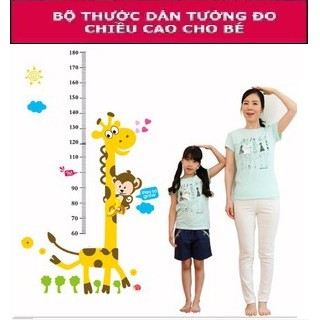 THƯỚC HƯƠU CAO CỔ ĐO CHIỀU CAO CHO BÉ