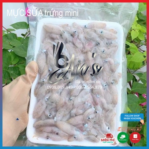 MỰC SỮA TRỨNG mini, Mực sữa đầy trứng | BigBuy360 - bigbuy360.vn