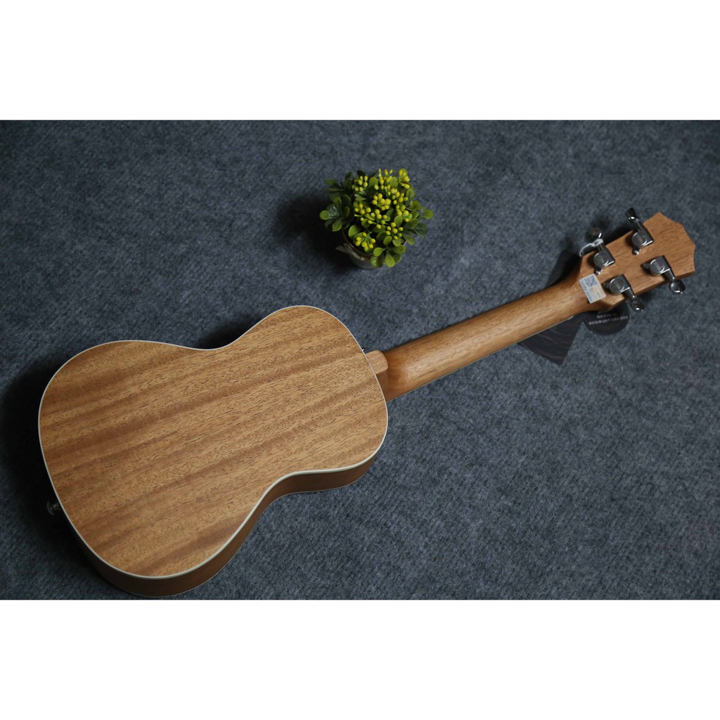 [FreeShip – Xả kho] Đàn ukulele Concert Andrew tặng Full phụ kiện