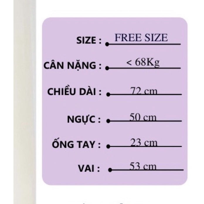 Áo phông 3158 cotton khô