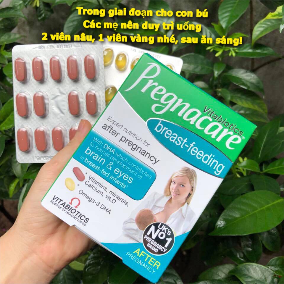 COMBO CỎ LỢI SỮA --- 610MG--- VÀ VITAMIN BÚ PREGNACARE LỢI SỮA UK