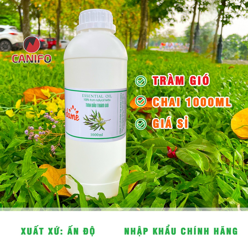 Tinh Dầu TRÀM GIÓ Canifo nguyên chất, chai 1 lít, Khử Trùng, Phòng Ho, Cảm Cúm, Thơm Phòng