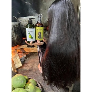 dầu gội bồ kết cô đặc