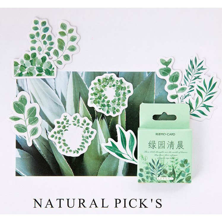 Bộ 45 Sticker Hàn Quốc hình Cây Cỏ dán trang trí E18