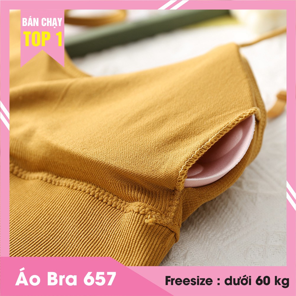 Áo bra nữ hình hoa cúc hàng Quảng Châu loại 1