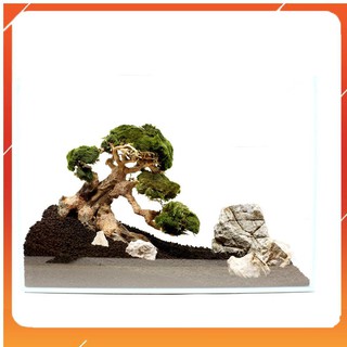 Lũa Bonsai mini cho bể cá thủy sinh