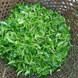 Trà Tấm Bắc loại ngon( đóng túi zip 1kg)