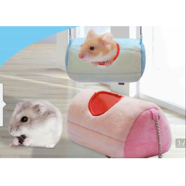 Nhà ngủ sóc hamter ,phụ kiện thú cưng Hà Nội
