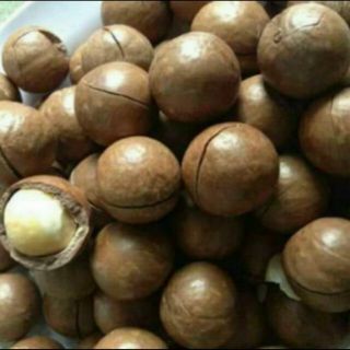 1kg macca Úc nứt vỏ