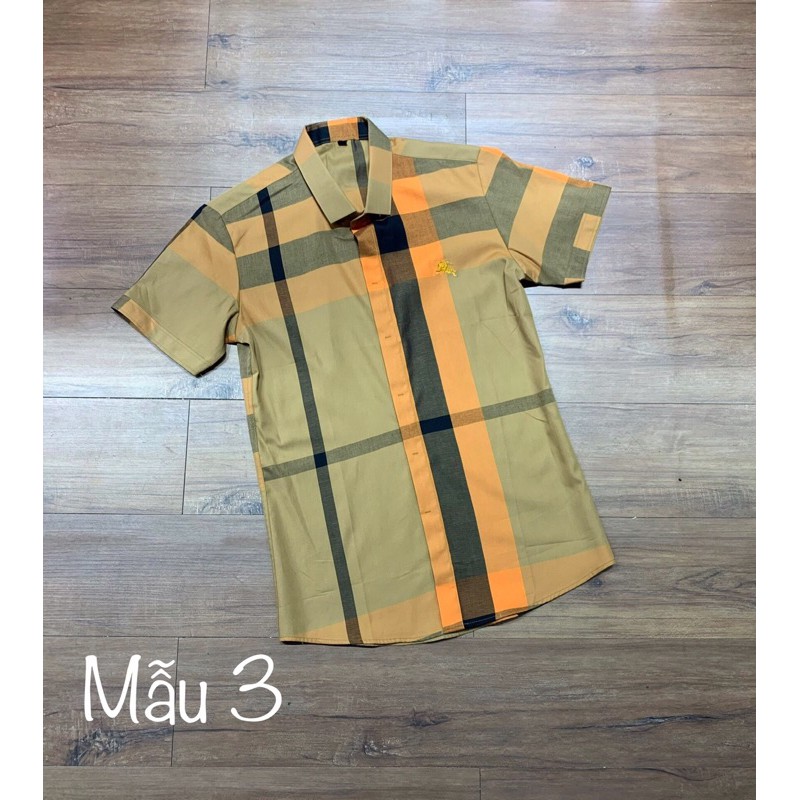 Áo sơ mi cộc kẻ bbr new hot💥 | BigBuy360 - bigbuy360.vn