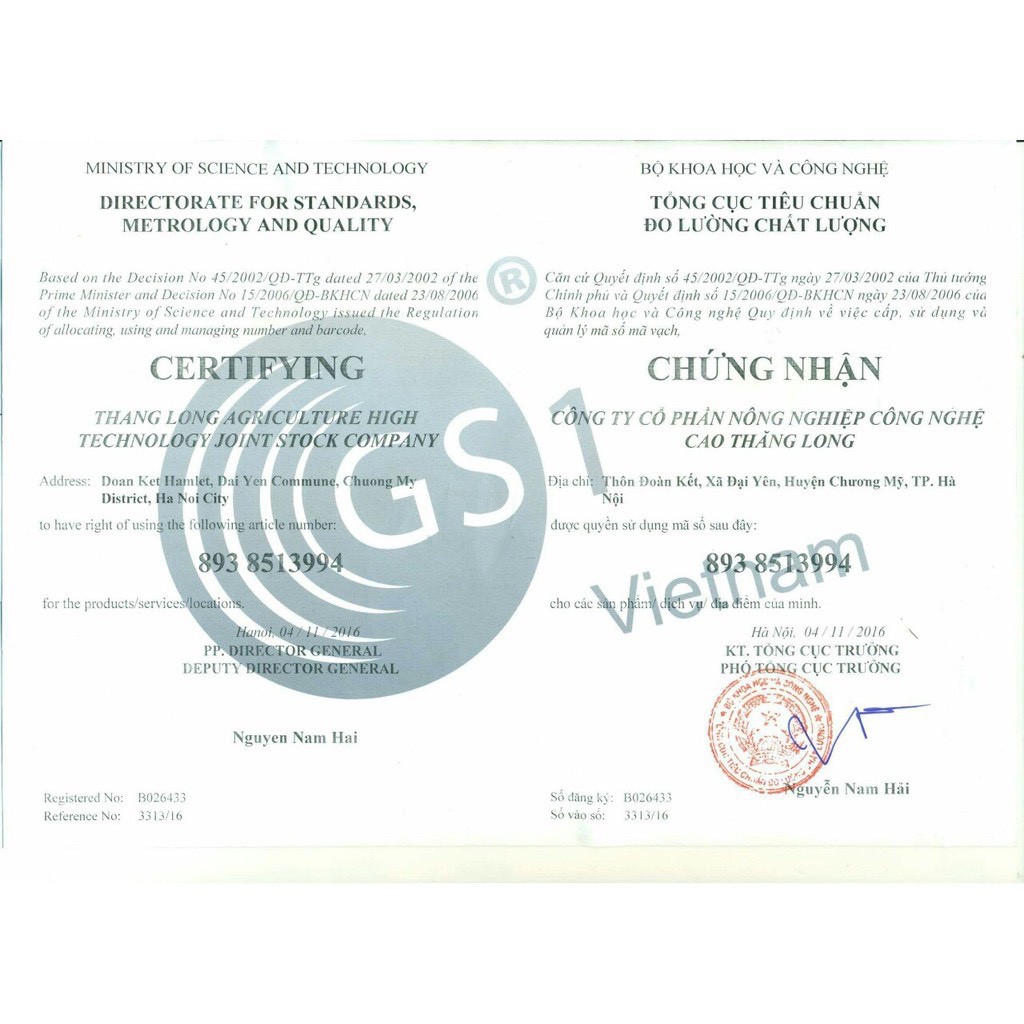 TRÀ TÚI LỌC CÀ GAI LEO SADU MÁT GAN THẢI ĐỘC GAN