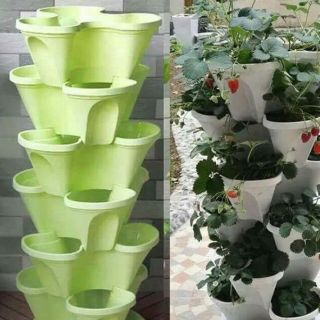 Tháp trồng rau rời ( không đĩa)