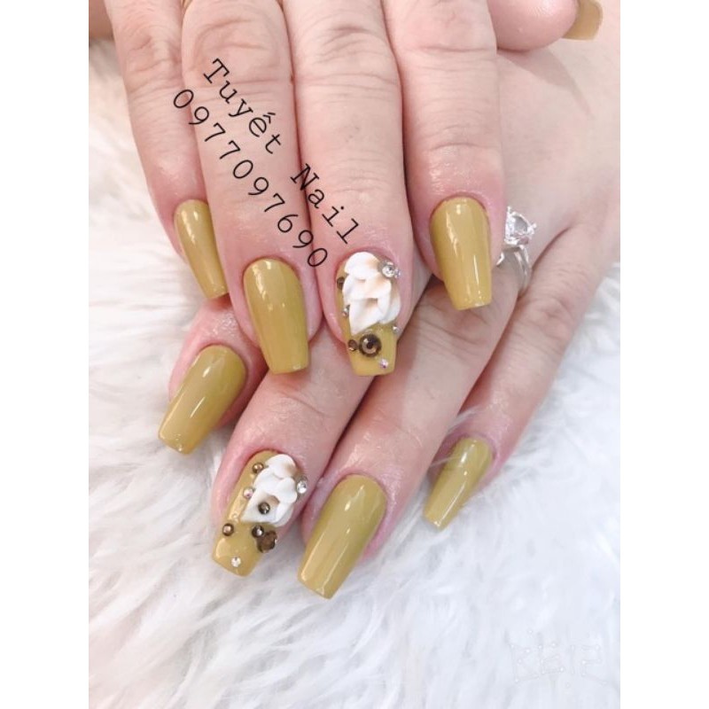 Hoa bột nail-góc tay