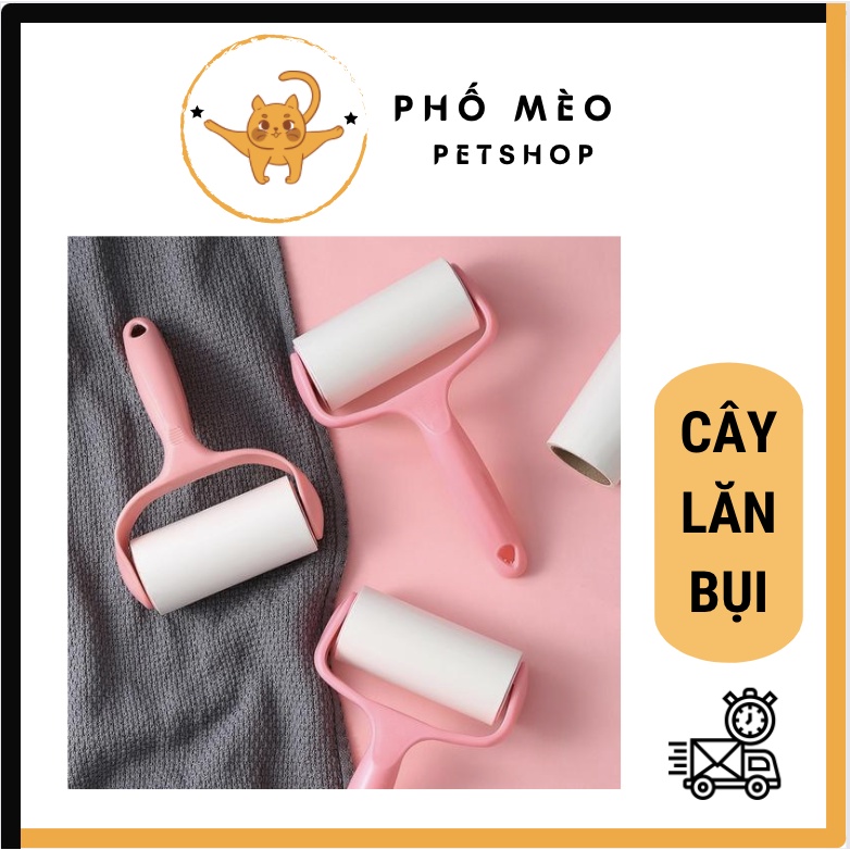 Cây lăn lông chó, mèo