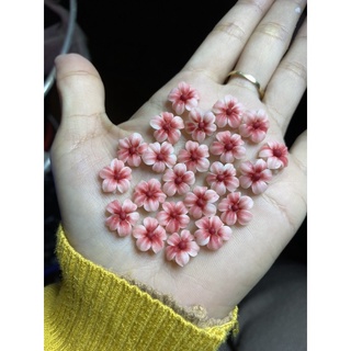 hoa sứ gân gắn móng kèm ảnh thật và video