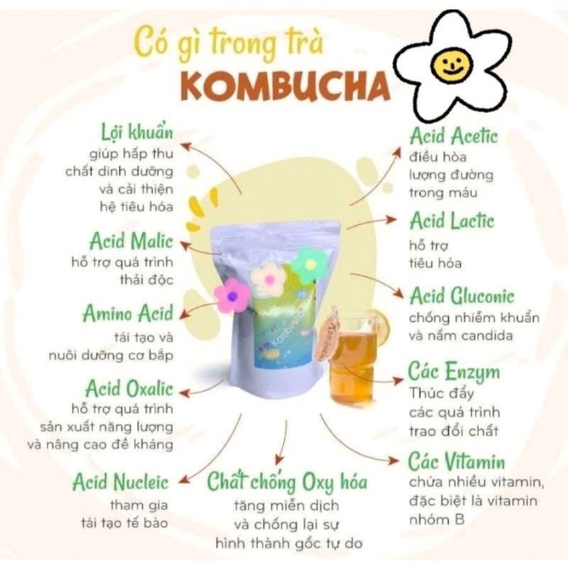 Nấm scoby/kombucha kèm nước mồi làm trà kombucha