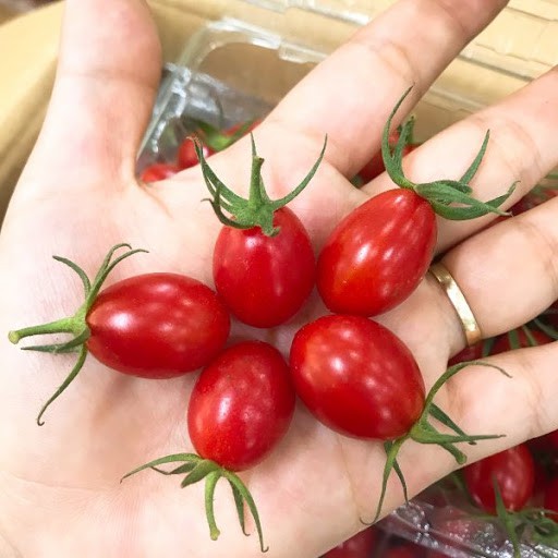 Hạt Giống Cà Chua Bi Đỏ - 50 hạt - cà chua cherry đỏ
