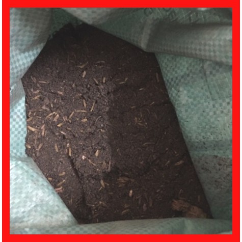 1 Kg Đất Trồng ( Đất Chăm Cây Cảnh )