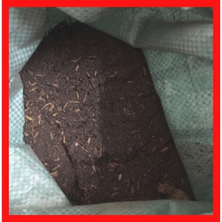 1 kg đất trồng