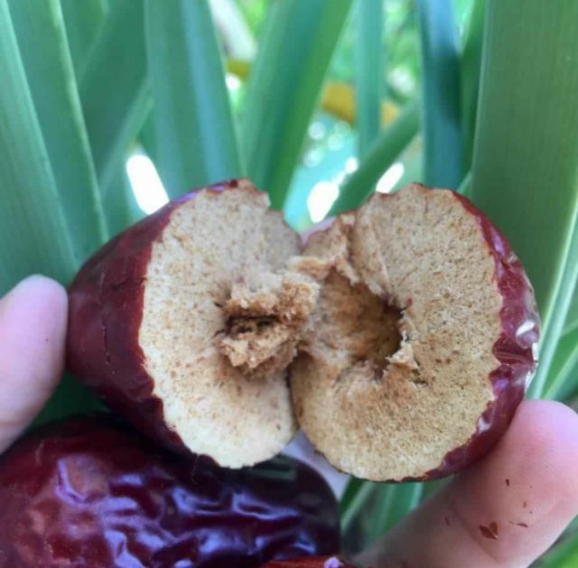Táo đỏ Hàn Quốc loại đại 500g date -2024