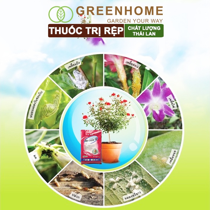 Thuốc tím trị rệp, Starkle-G, bao 1kg, lưu dẫn, an toàn, hiệu quả, dùng cho sen đá, xương rồng |Greenhome