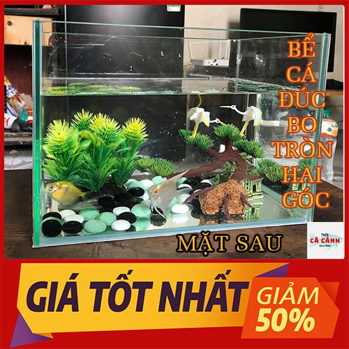 Bể Cá Cảnh Đúc Để Bàn ( 31cm x17cm x 20cm) Bo Tròn Hai Góc Cao Cấp