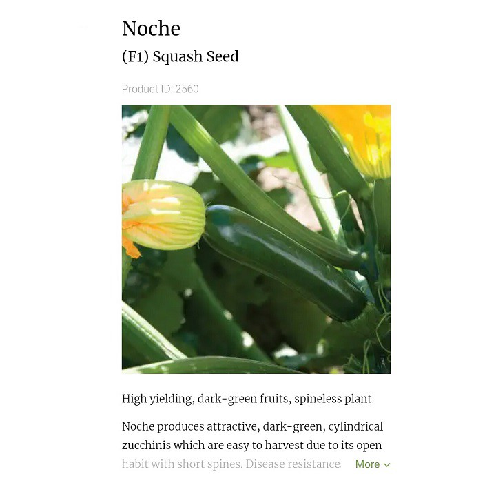 [Hạt giống Mỹ] Hạt giống bí ngòi xanh Noche - tỷ lệ nảy mầm 95%
