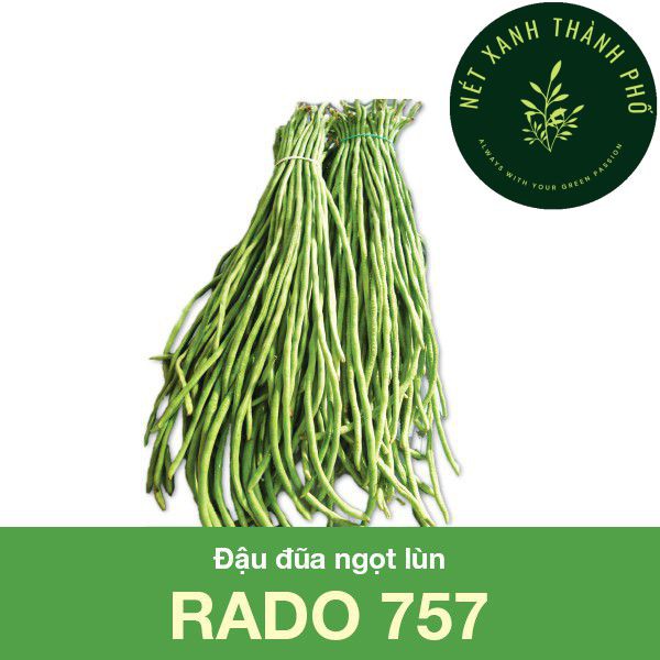 Hạt giống Đậu Đũa Lùn, Đậu Đũa Bụi, 20gr