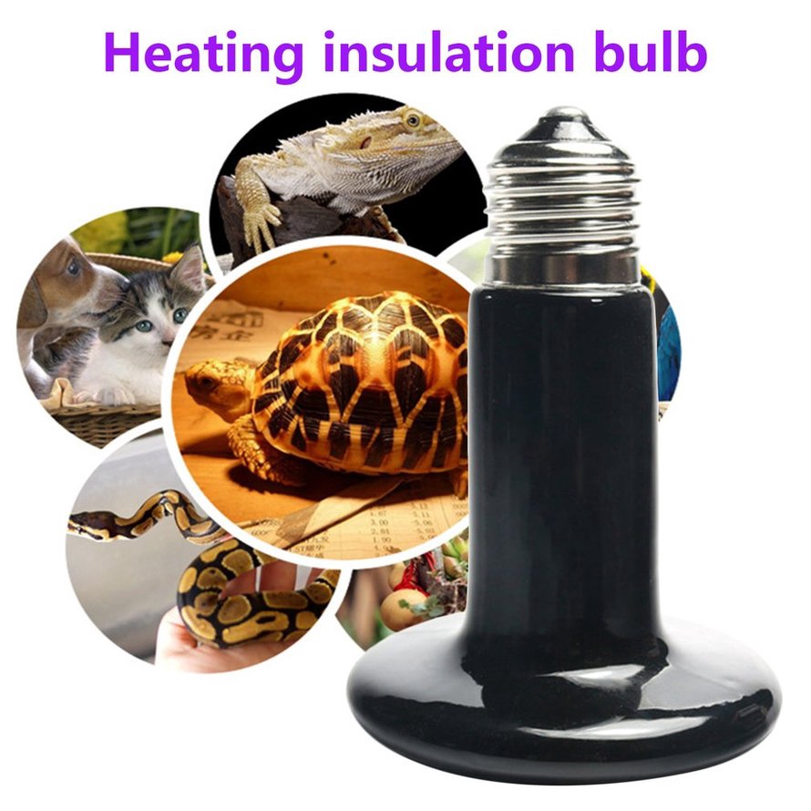 Đèn gốm sưởi nhiệt cho vật nuôi 25w 50w 75w 100w 150w 200w cảm biến nhiệt iR