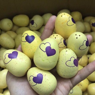 Combo trứng hatchimals tomica