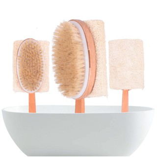 Cây chà lưng xơ mướp dài 40cm