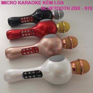 Micro bluetooth karaoke ZBX-919