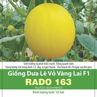 Hạt giống hoàng kim rado 163