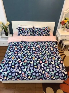 Bộ chăn ga gối cotton 100%