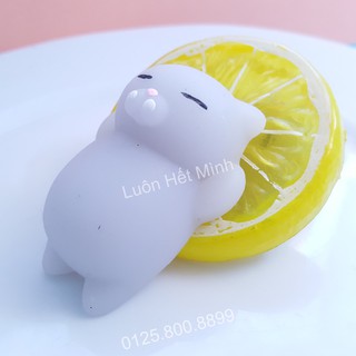 zSquishy Mochi Mèo Xámt