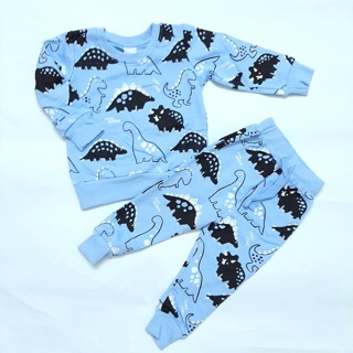 ‼️‼️‼️ Bộ nỉ next khủng long màu xanh blu cho bé trai