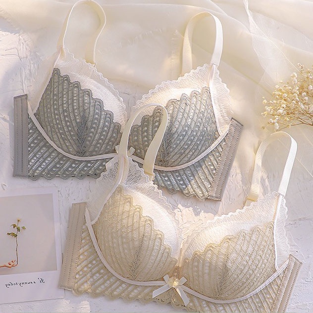 Áo Ngực Cotton Không Gọng Phối Ren Thoải Mái Thời Trang Cho Nữ 32ab-40c