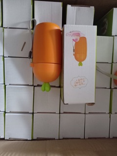 Bình nước hình cà rốt và tai thỏ