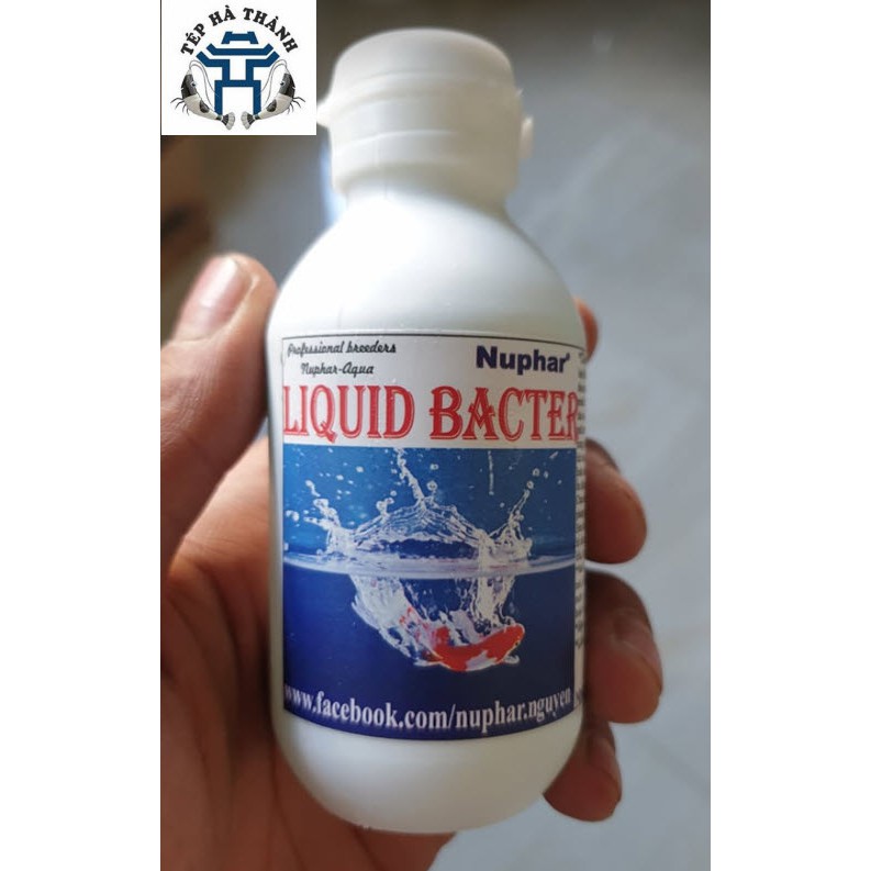 Nuphar Liquid Bacter Dung Dịch Chống Sốc Cá Và Xử Lý Nước Cho Hồ Cá Cảnh