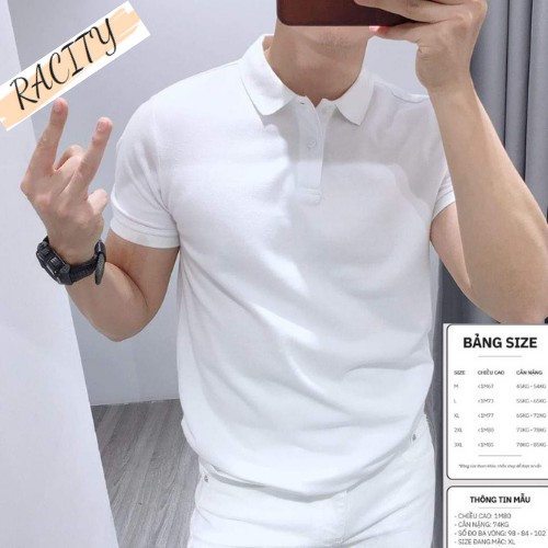Áo Thun Nam Trơn Tay Ngắn có cổ bẻ đẹp Polo Nam cao cấp chất cotton RACITY AT01 | BigBuy360 - bigbuy360.vn