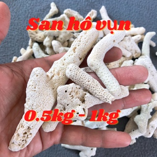 San hô vụn phụ kiện lọc hồ cá cảnh