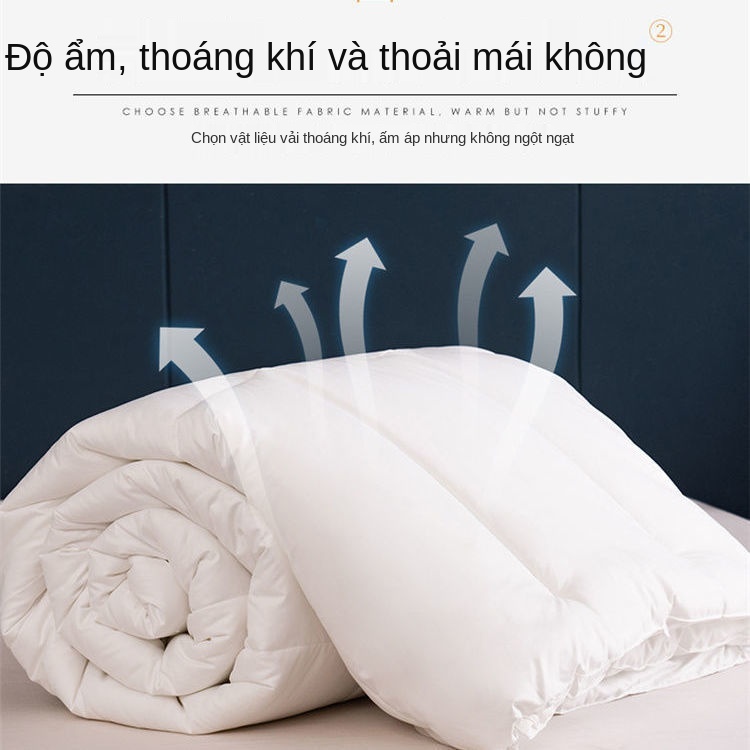 xuất khẩu sang Nhật Bản khách sạn và nhà nghỉ Chăn chín lỗ xuân thu, mùa hè có thể giặt được, đông, điều hòa cho hai ngư