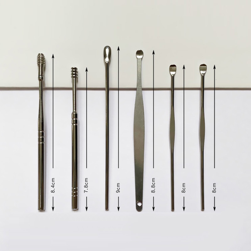 Dụng Cụ Lấy Ráy Tai 6 Món Không Rỉ, Bộ Ngoáy Tai Chuyên Dụng Inox