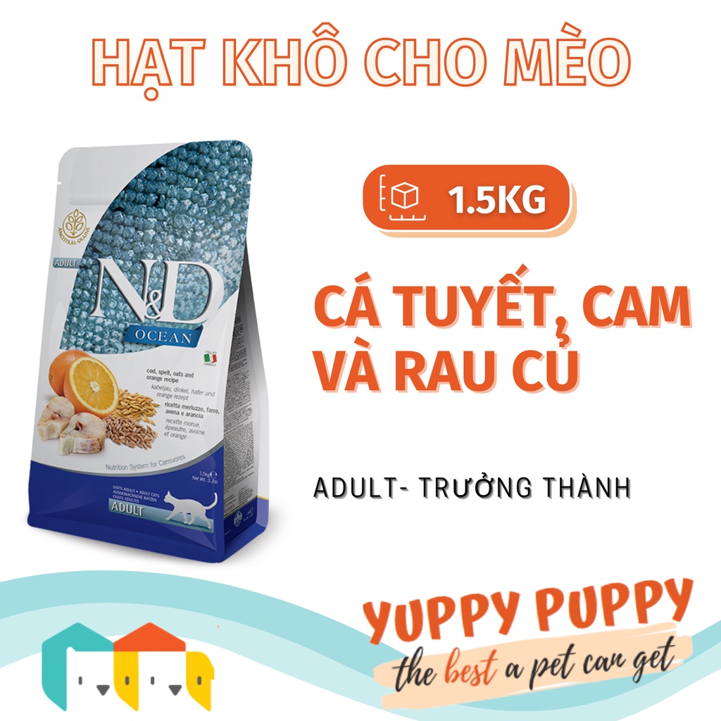 2[GIAO NHANH HN] Farmina N&amp;D Ocean Cá và cam cho mèo trưởng thành 1.5kg