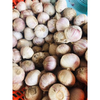 Tỏi cô đơn 500gram