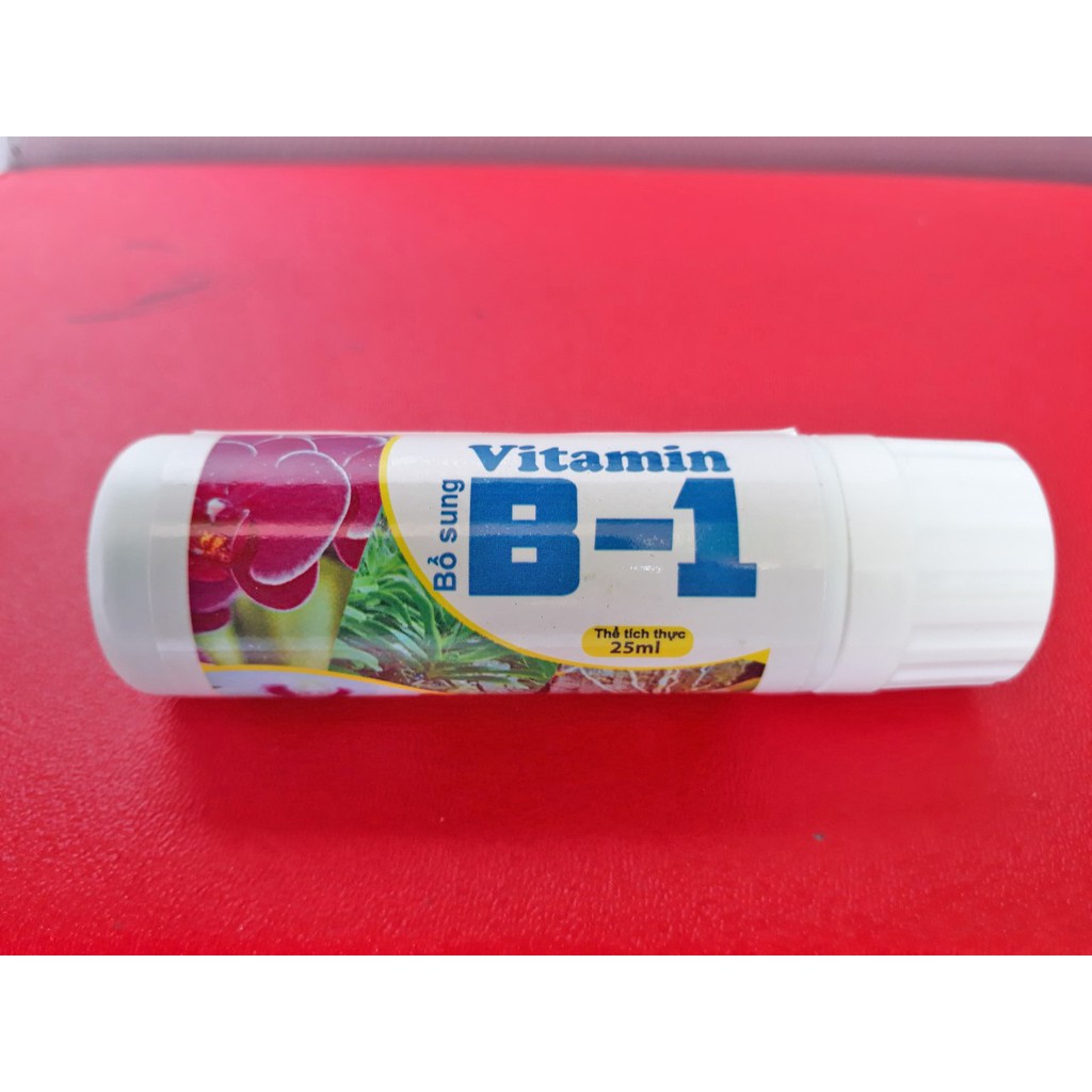 Phân Bón Lá VITAMIN B1 25ml Kích Rễ Mạnh, Dưỡng Hoa, Giữ Hoa Lâu Tàn, Tăng Sức Đề Kháng Chống Chịu Sâu Bệnh